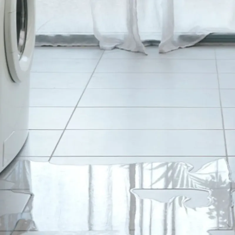 Appliance Leak Cleanup in Springfield, NH