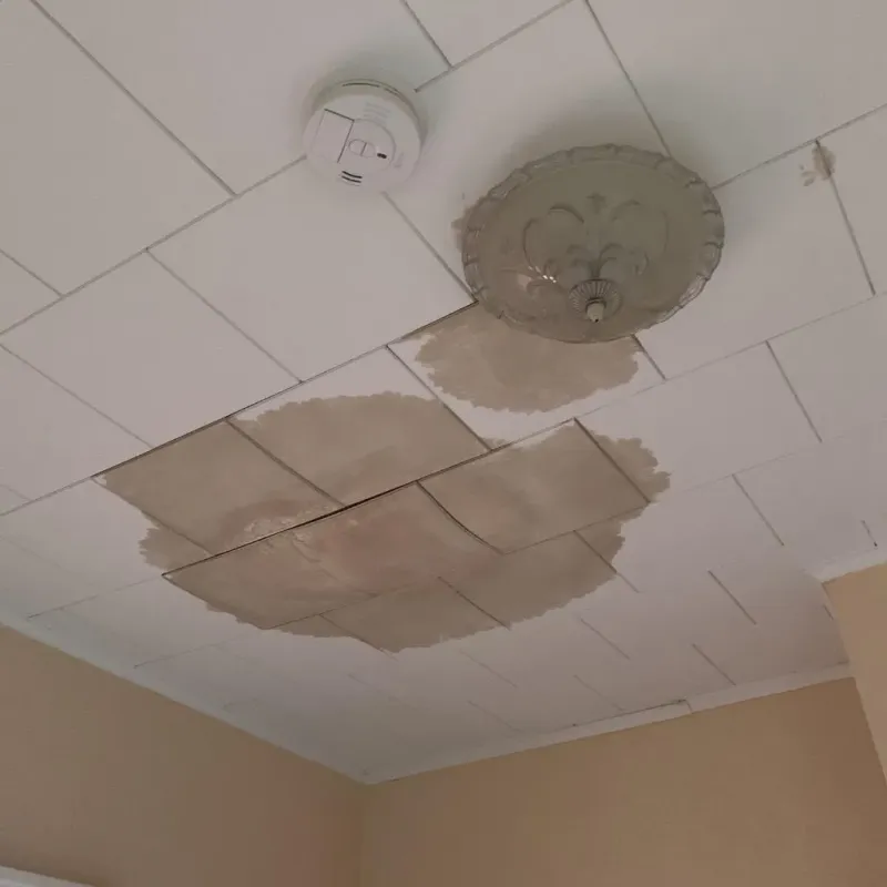 Ceiling Water Damage Repair in Springfield, NH
