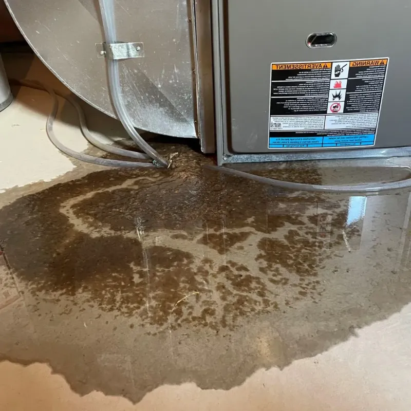 Pipe Burst and Leak Restoration in Springfield, NH