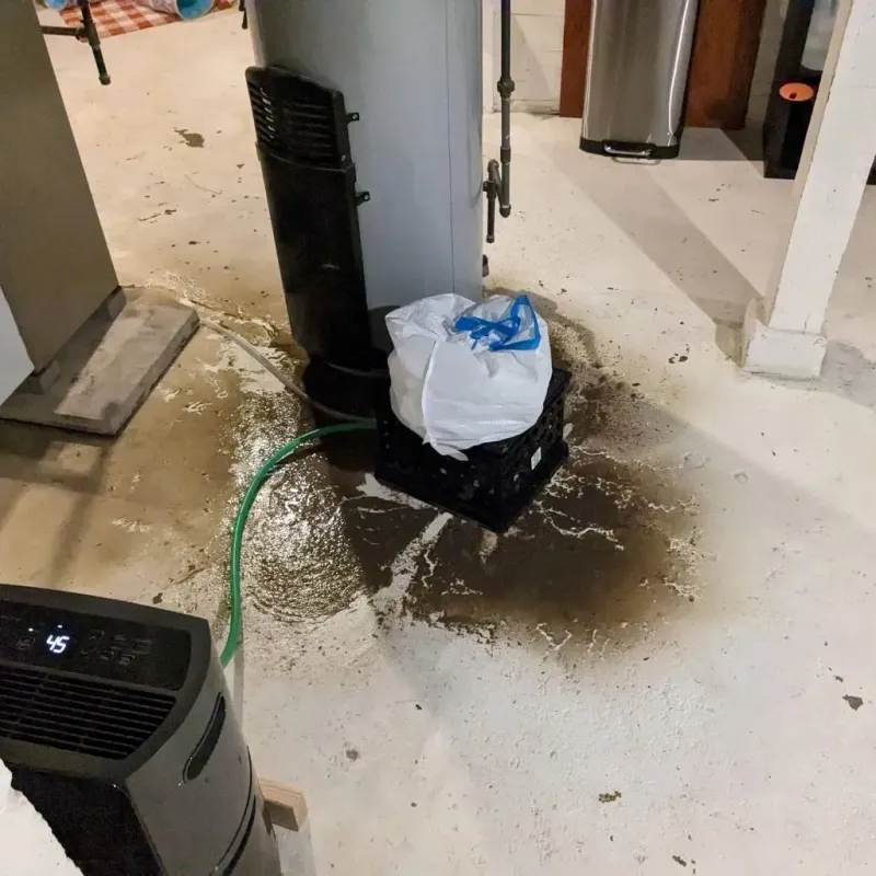 Sewage Backup Cleanup Service in Springfield, NH